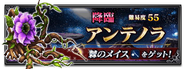 ■アンテノラ■